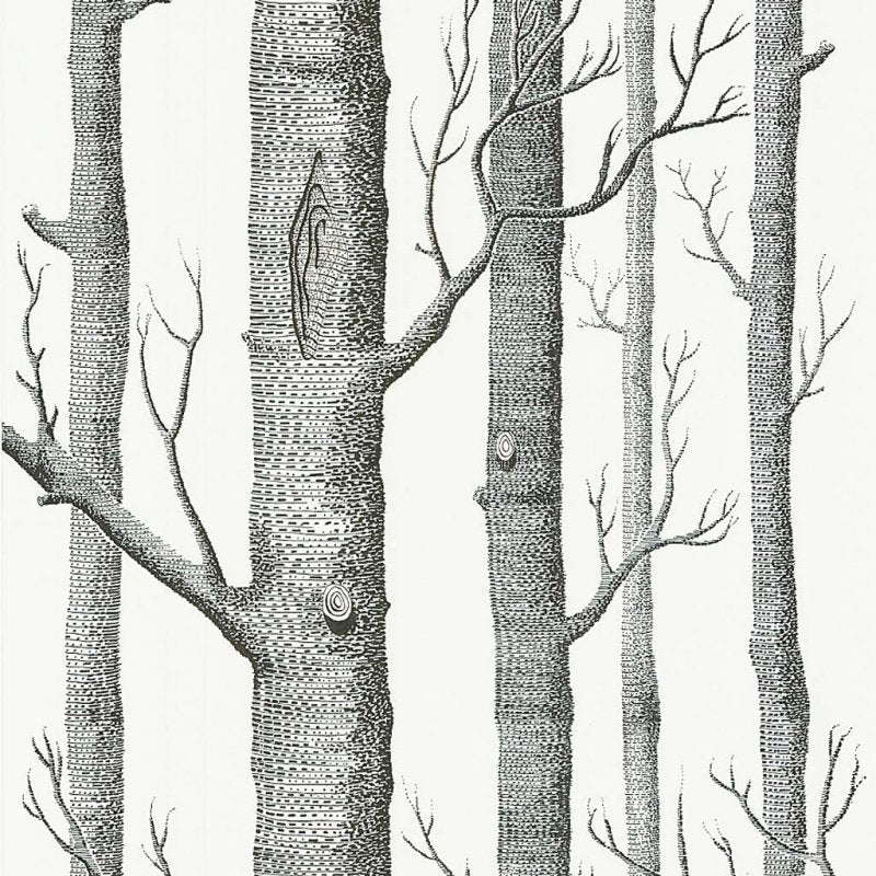 Woods Wallpaper 69-12147 by Cole & Son