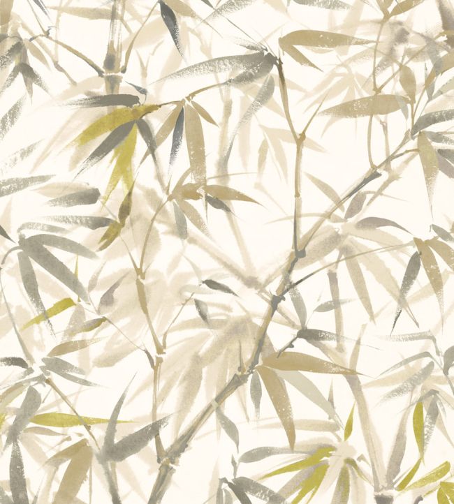 Shadow Bamboo Wallpaper by Ohpopsi HAN50113W