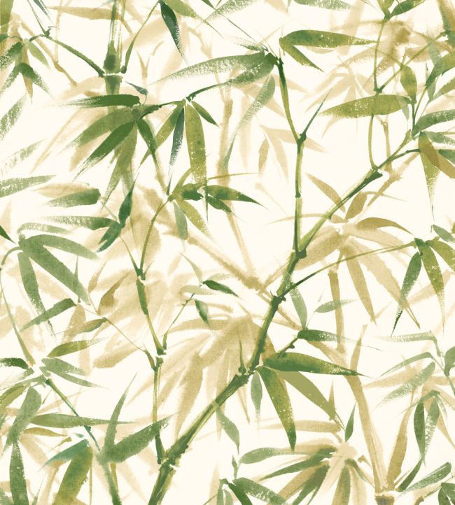 Shadow Bamboo Wallpaper by Ohpopsi HAN50111W