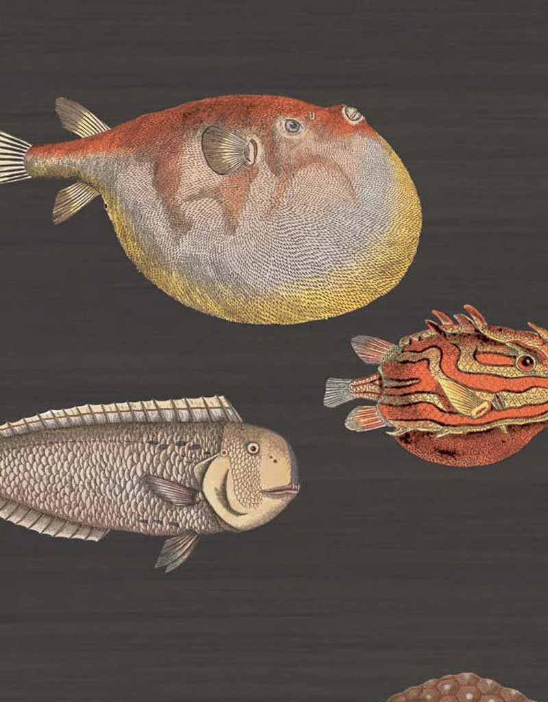 Acquario Wallpaper 97-10048 by Cole & Son - Clearance