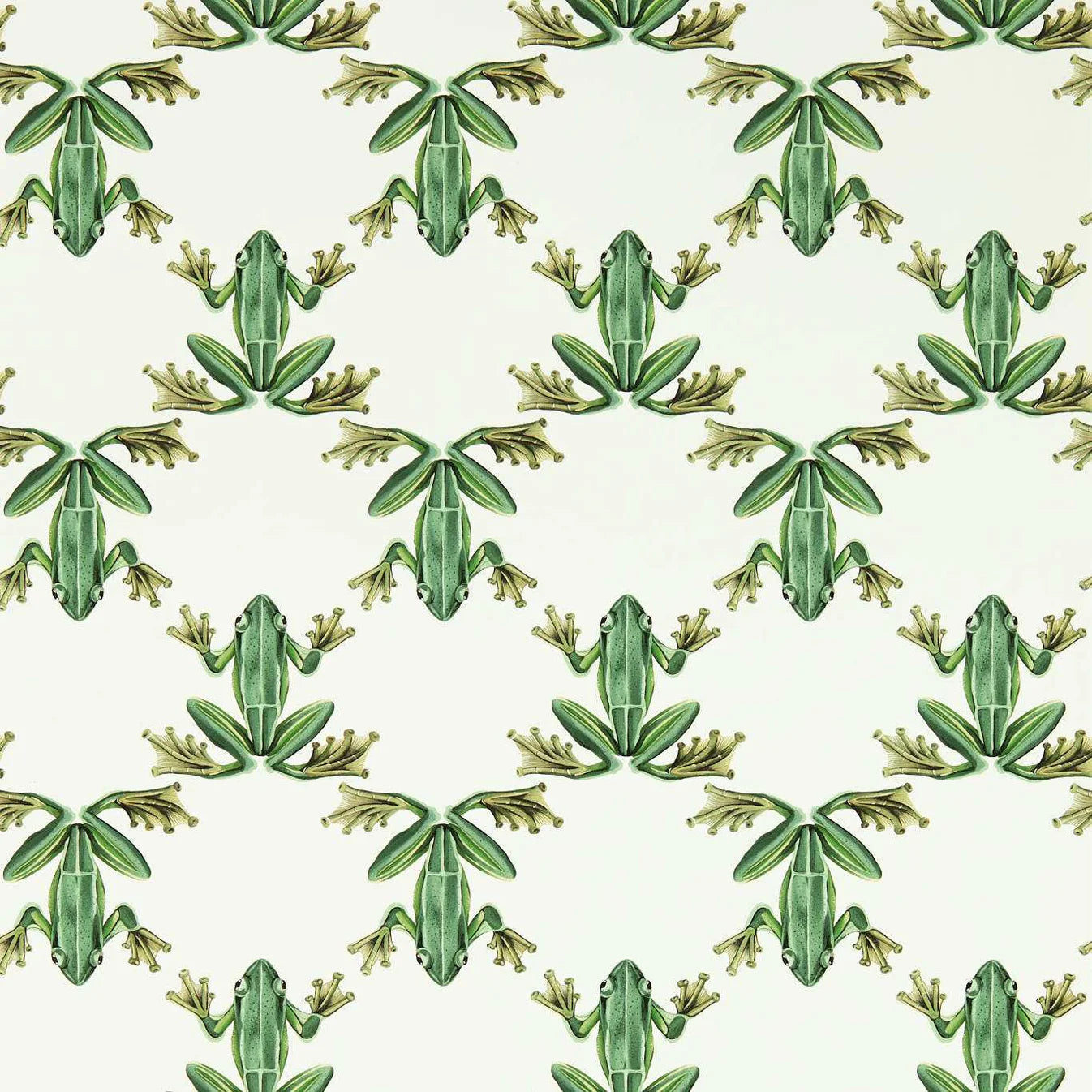 Wood Frog Forest/Chalk Wallpaper HC4W113011 by Harlequin - Clearance