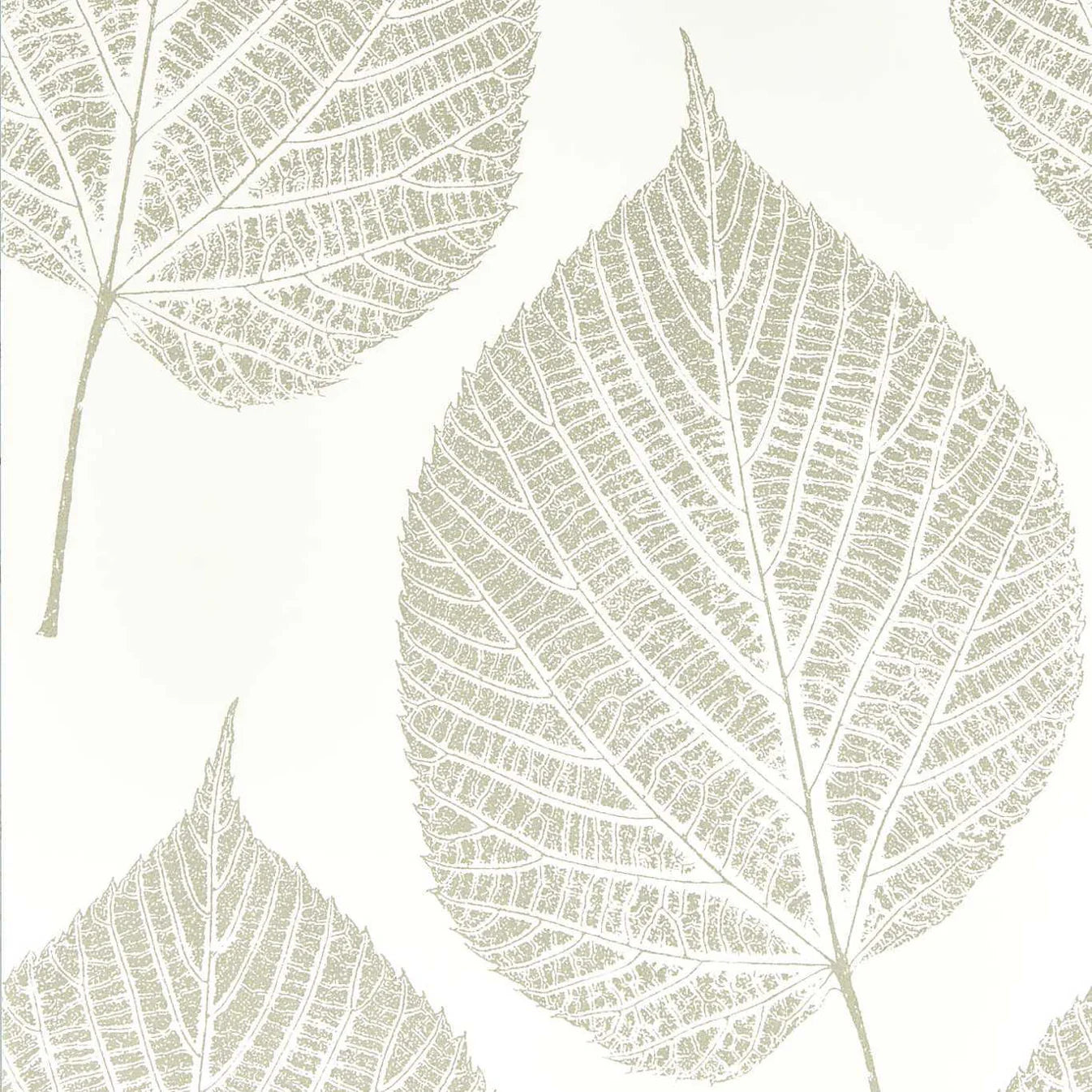 Leaf Chalk/Silver Wallpaper HTEW112609 by Harlequin - Clearance