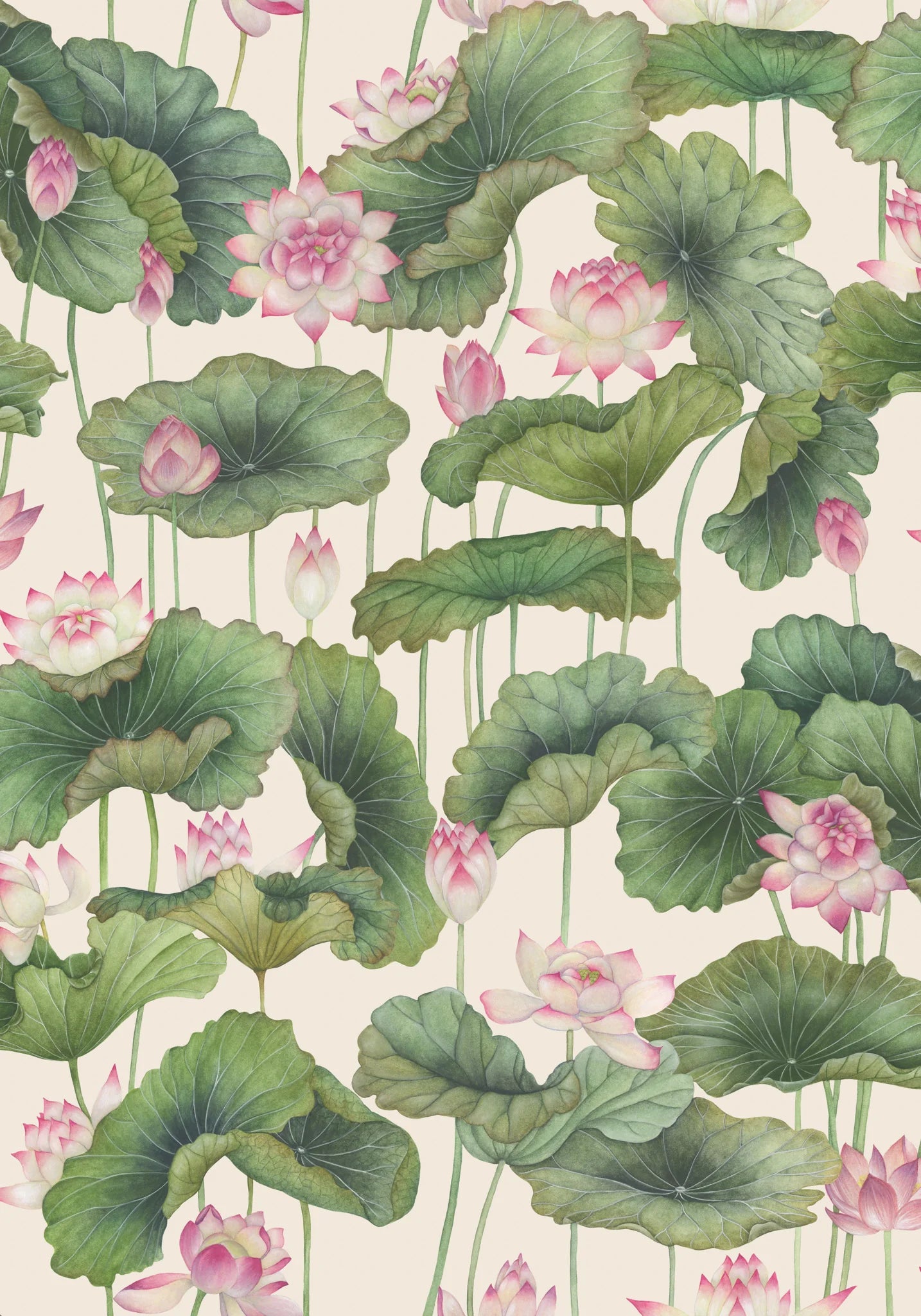 Lily Lotus wallpaper by Cole & Son 126/9031