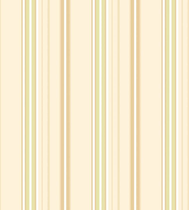 Ribbon Mix Stripe Wallpaper by Ohpopsi SIS50128W