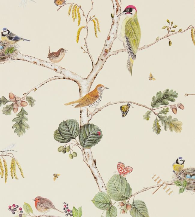 Woodland Chorus Wallpaper DWOW215703 by Sanderson - clearance